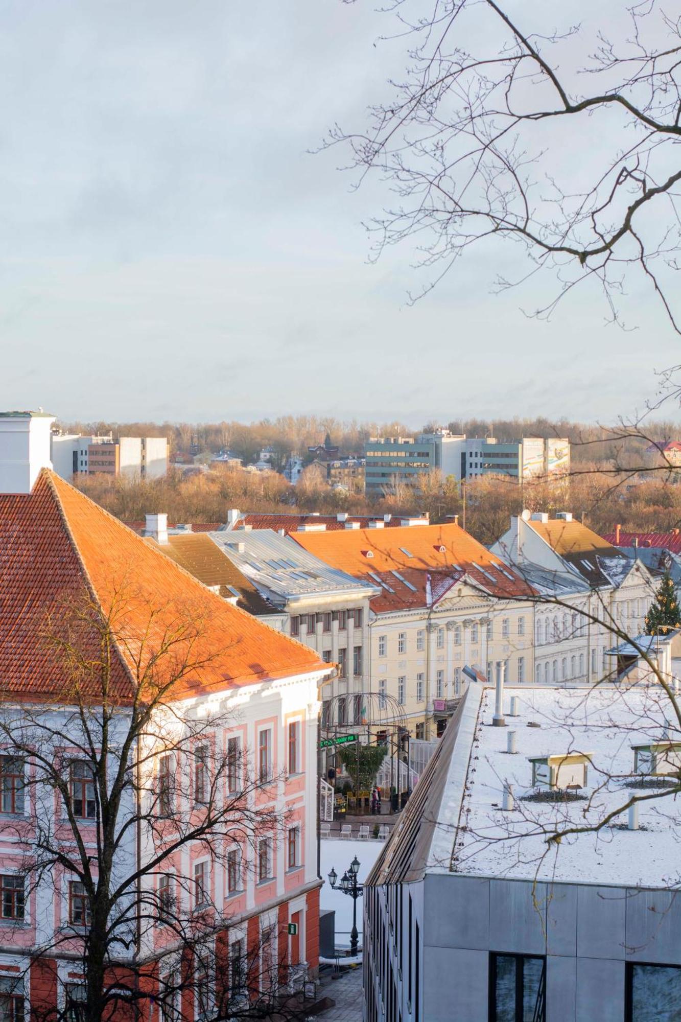 Karlovaidyll 7 - Homey Apartment With Free Parking! Tartu Exterior photo